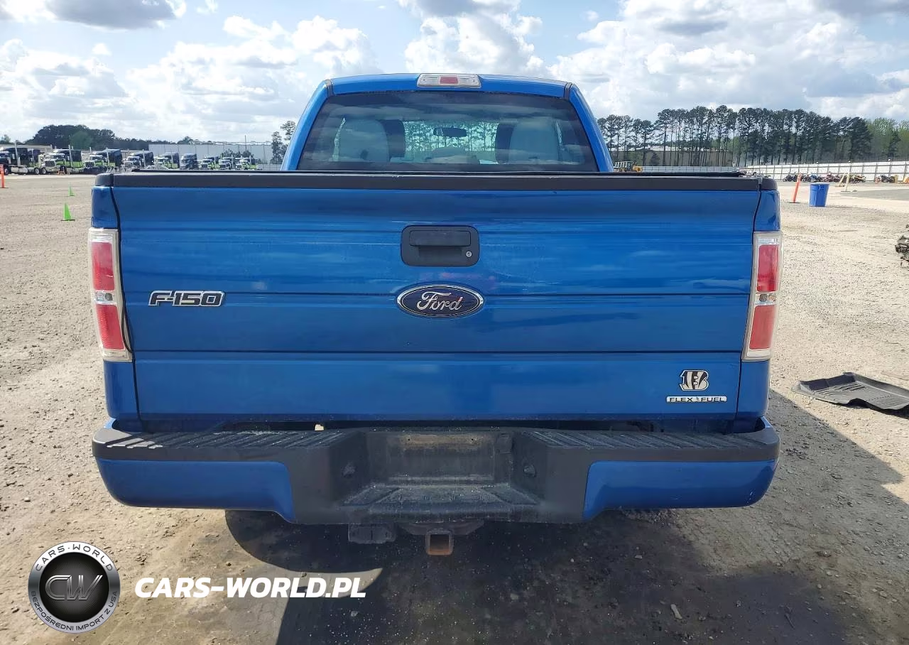 2013 Ford F150 Super Cab VIN:1FTFX1CF9DFD98842 - 6
