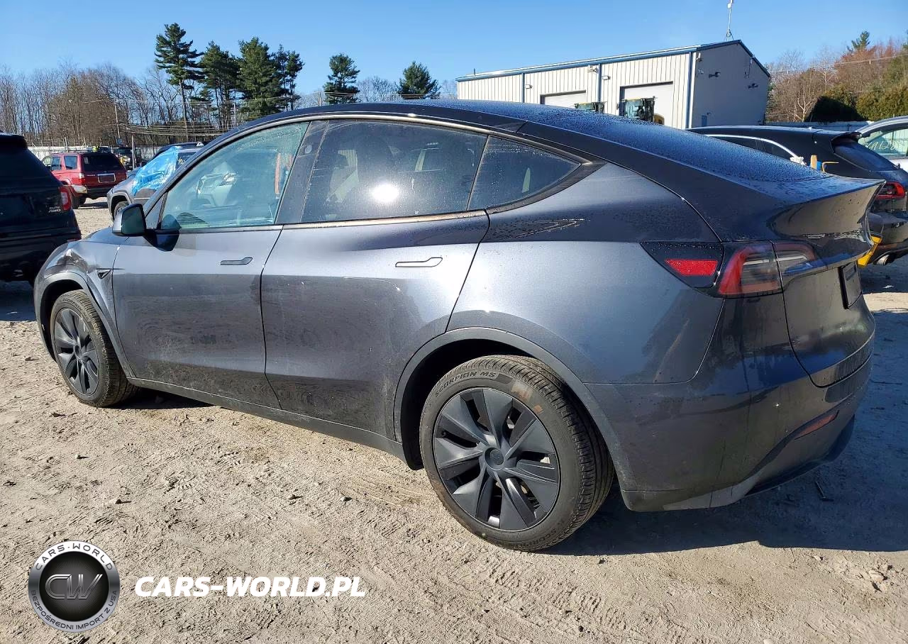 2024 Tesla Model Y VIN:7SAYGDEE1RA308805 - 2