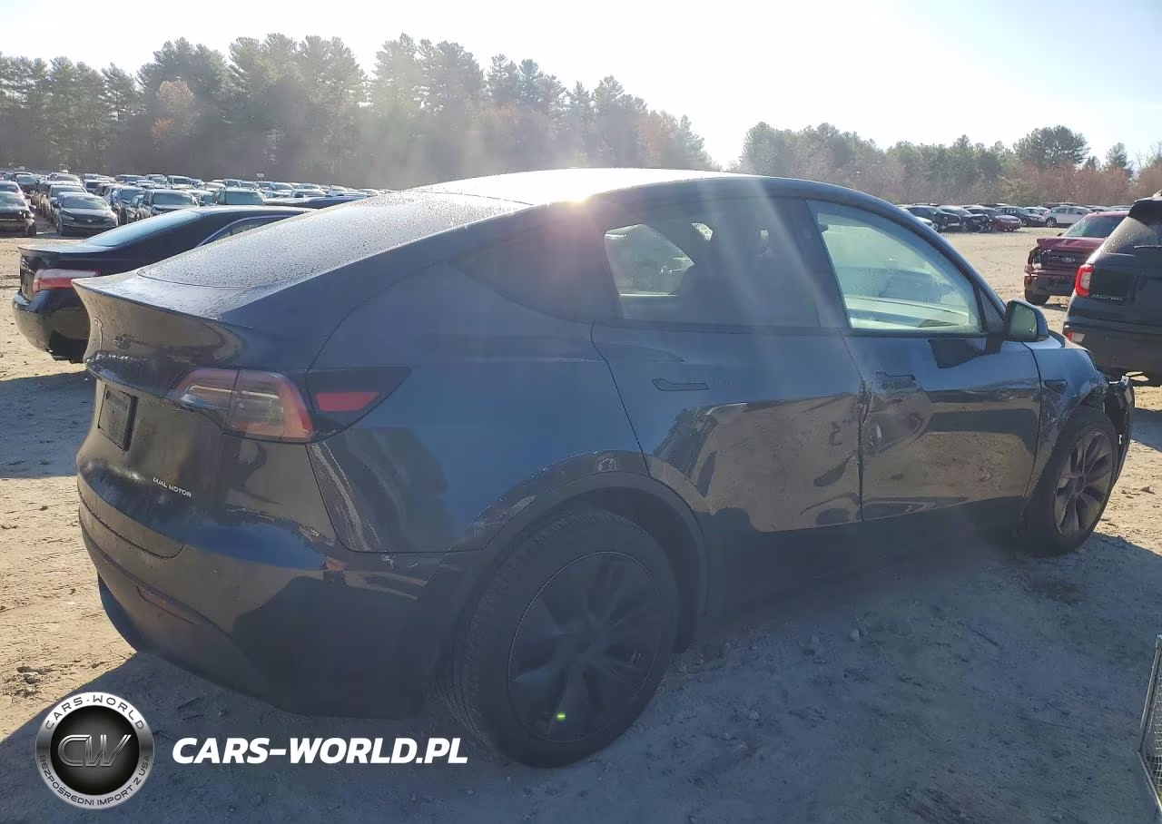 2024 Tesla Model Y VIN:7SAYGDEE1RA308805 - 3