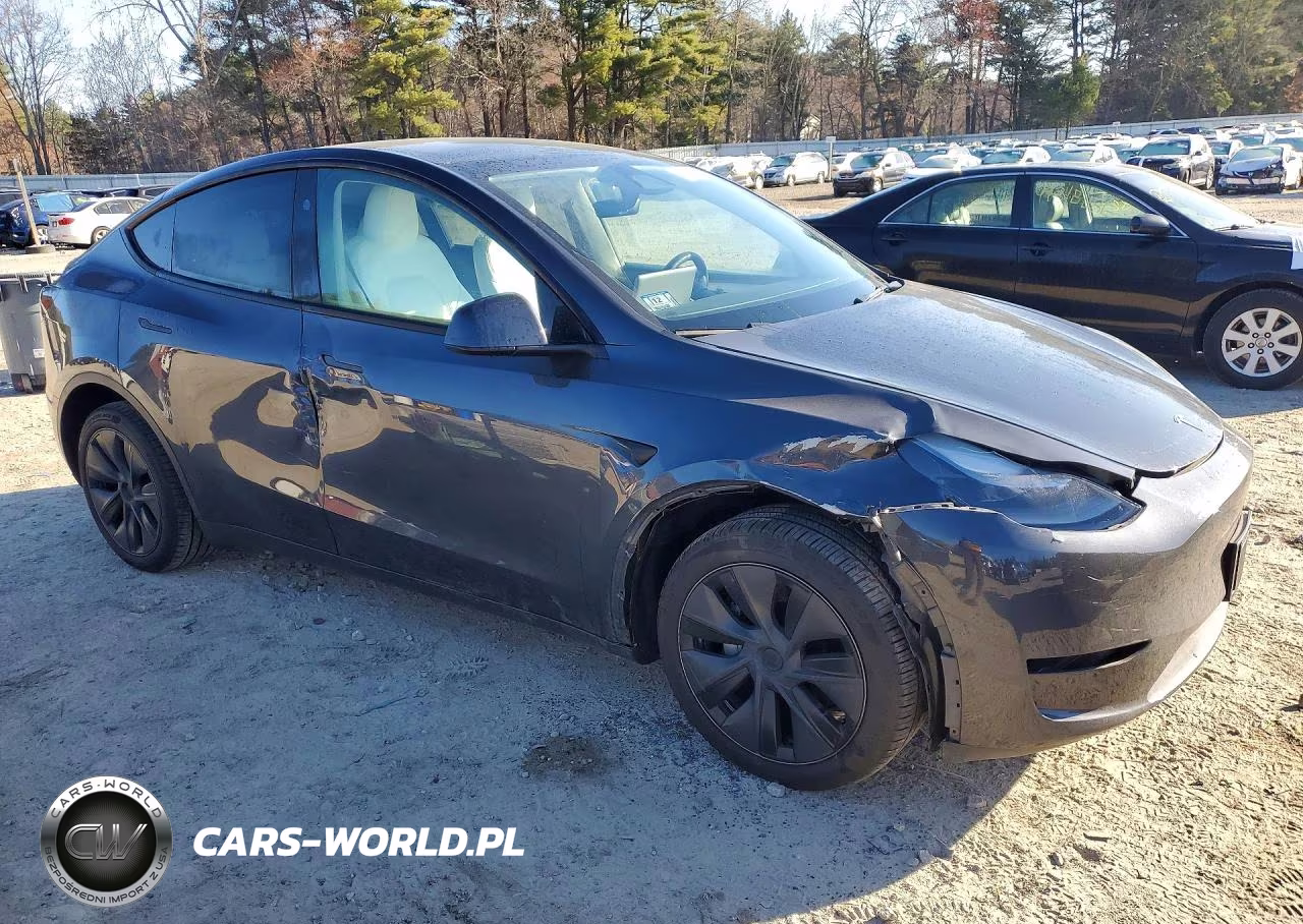 2024 Tesla Model Y VIN:7SAYGDEE1RA308805 - 4