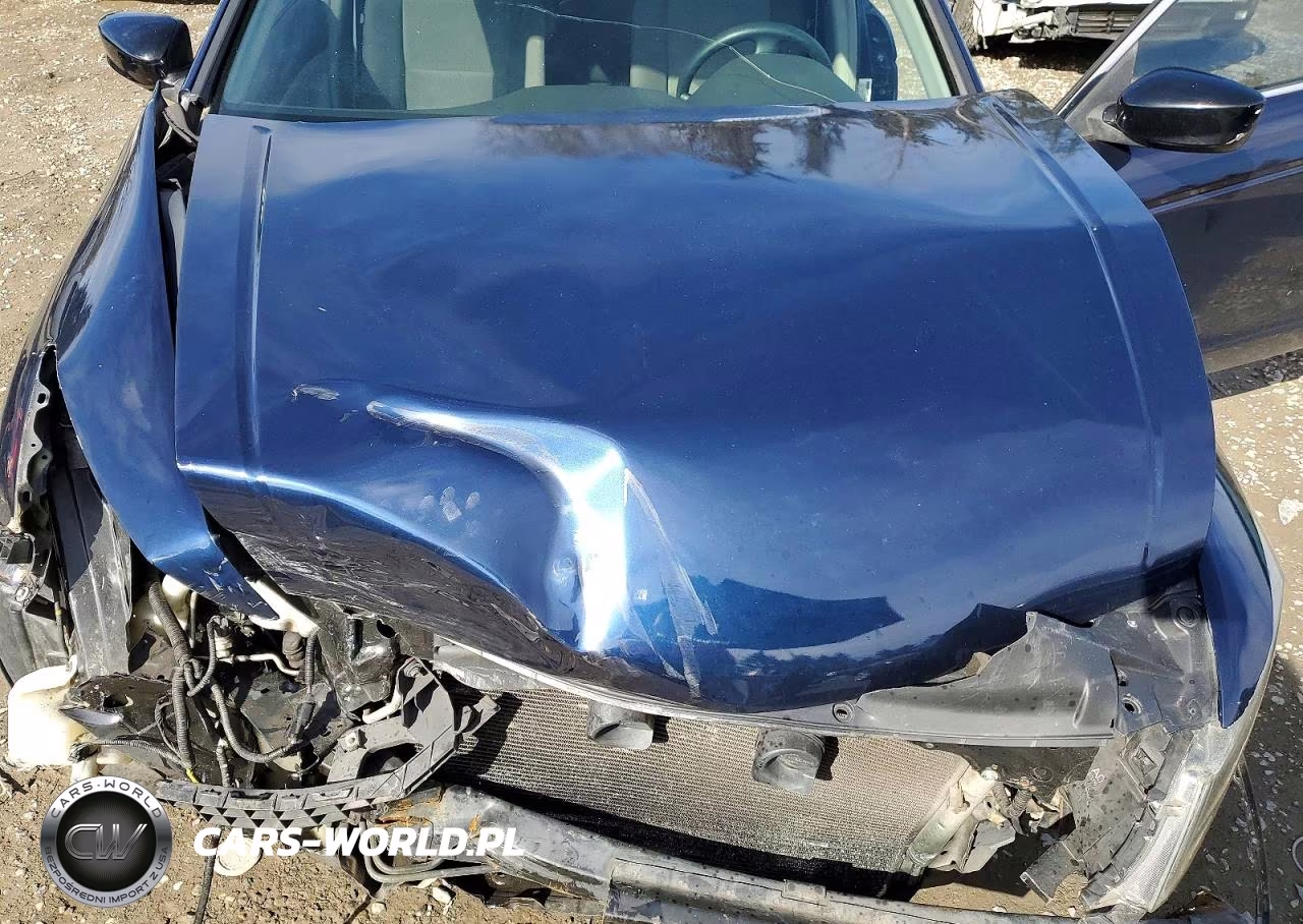 2008 Honda Accord Lxp VIN:JHMCP26468C067242 - 11