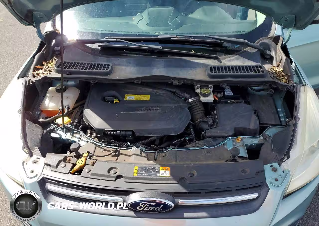 2013 Ford Escape Se VIN:1FMCU0GX4DUC62568 - 12