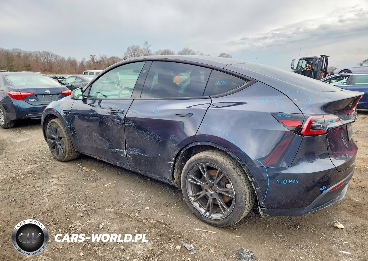 2024 Tesla Model Y VIN:7SAYGDED7RF132515 - 2
