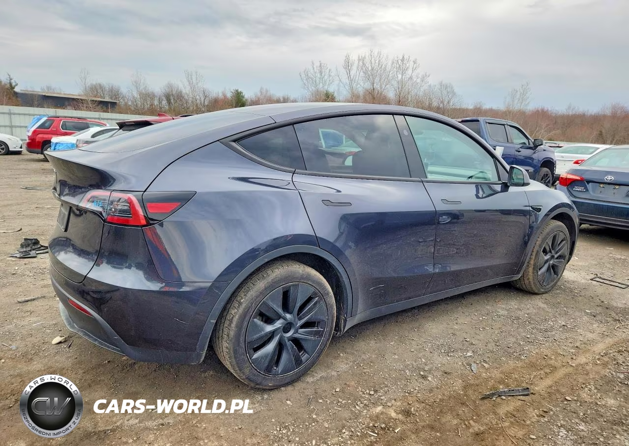 2024 Tesla Model Y VIN:7SAYGDED7RF132515 - 3