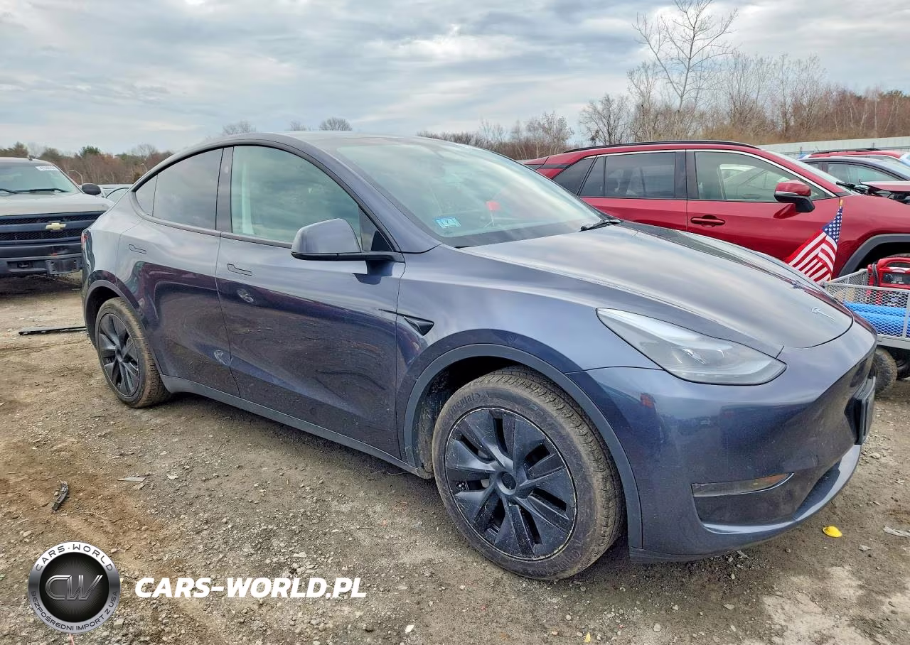 2024 Tesla Model Y VIN:7SAYGDED7RF132515 - 4