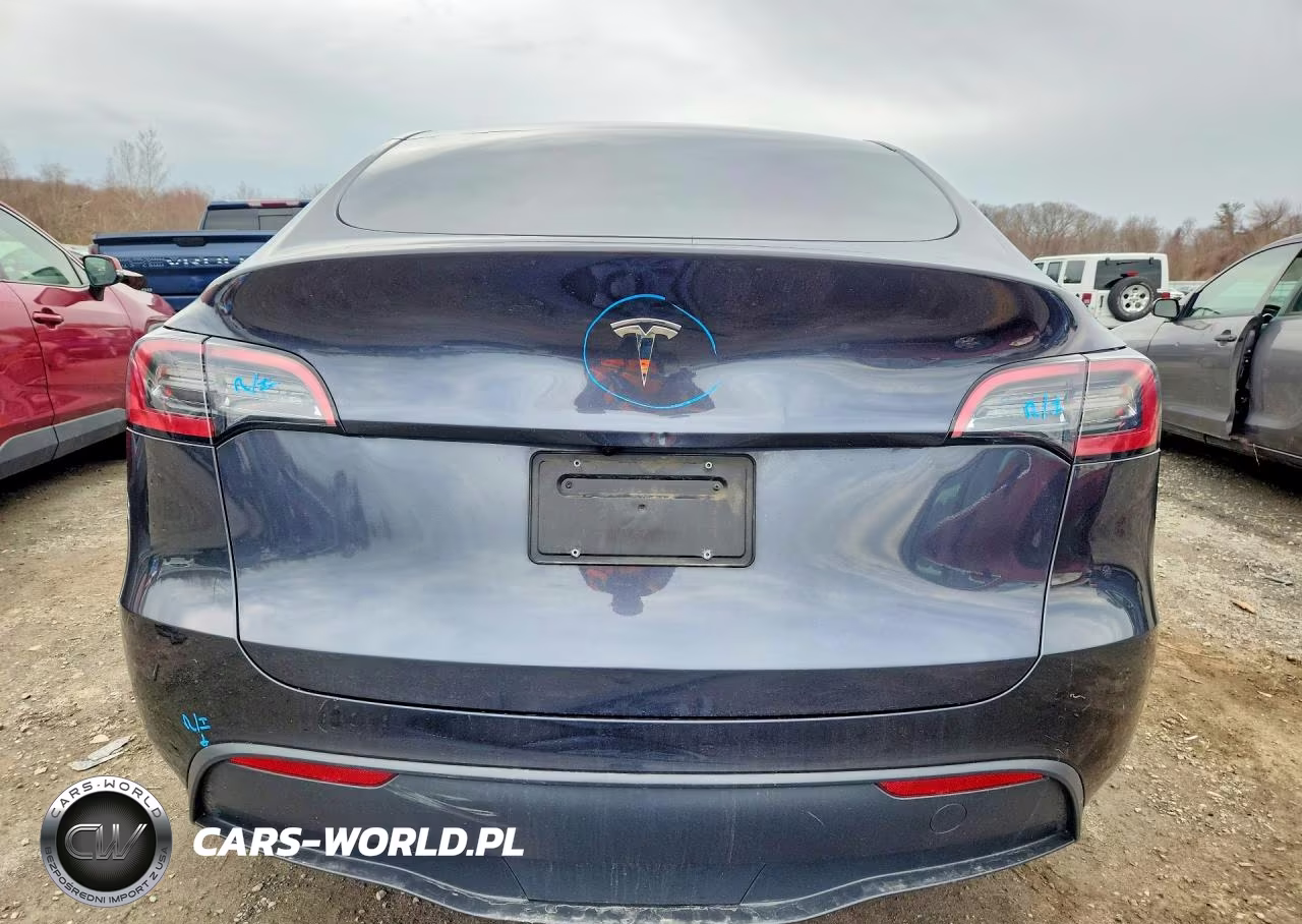 2024 Tesla Model Y VIN:7SAYGDED7RF132515 - 6