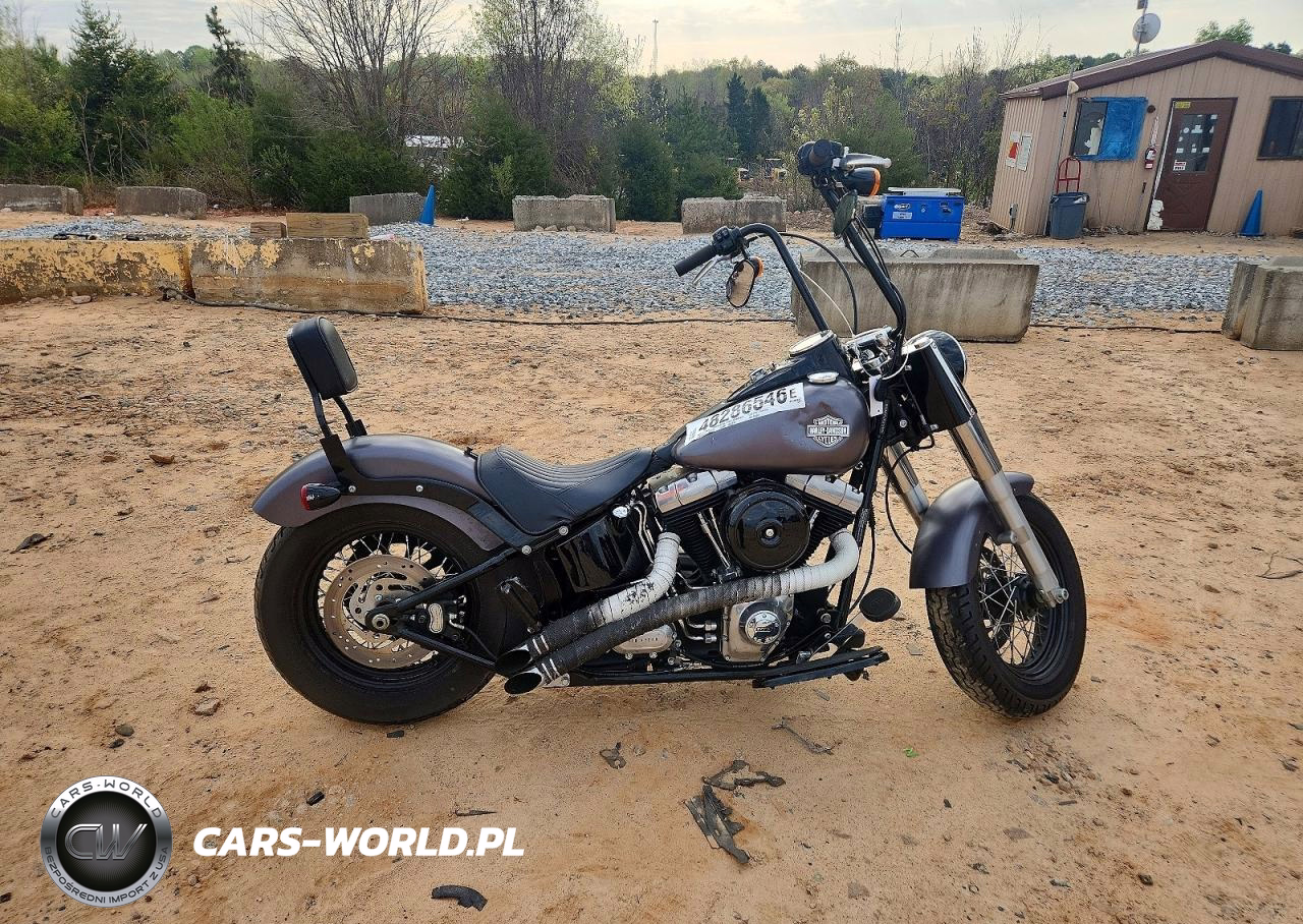2015 Harley-Davidson Fls Softail Slim
