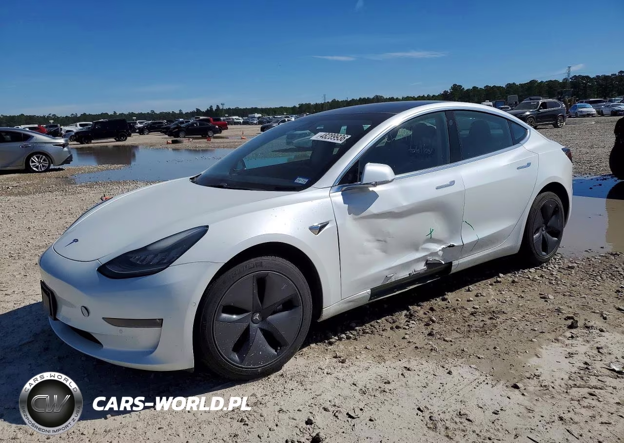 2019 Tesla Model 3