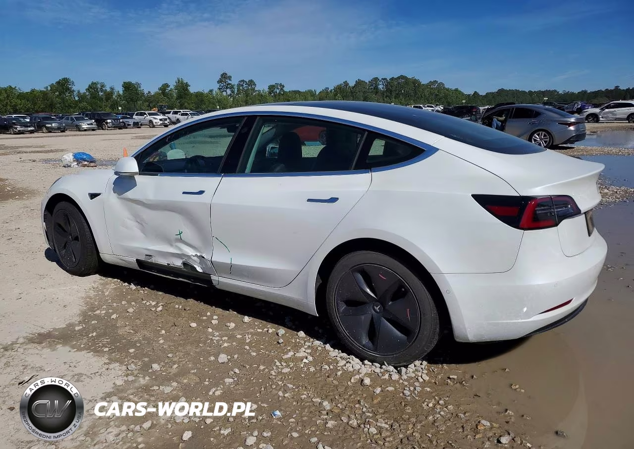 2019 Tesla Model 3 VIN:5YJ3E1EB8KF433231 - 2