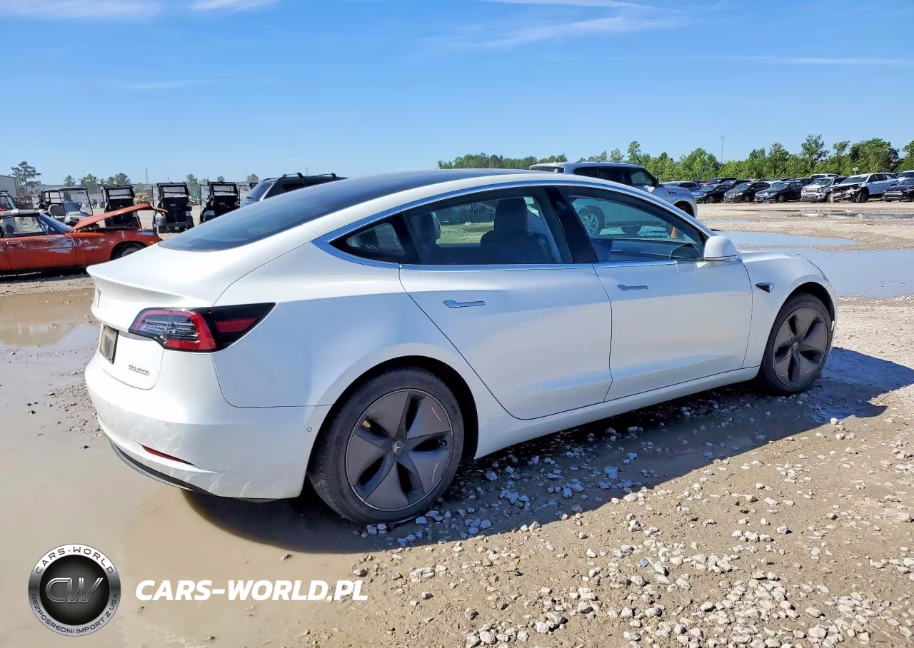 2019 Tesla Model 3 VIN:5YJ3E1EB8KF433231 - 3