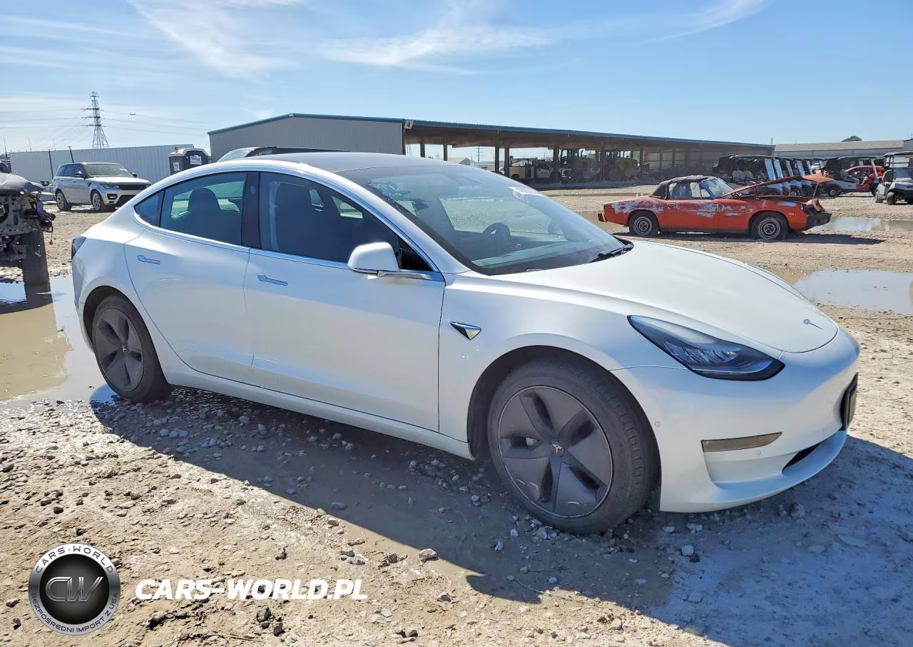 2019 Tesla Model 3 VIN:5YJ3E1EB8KF433231 - 4