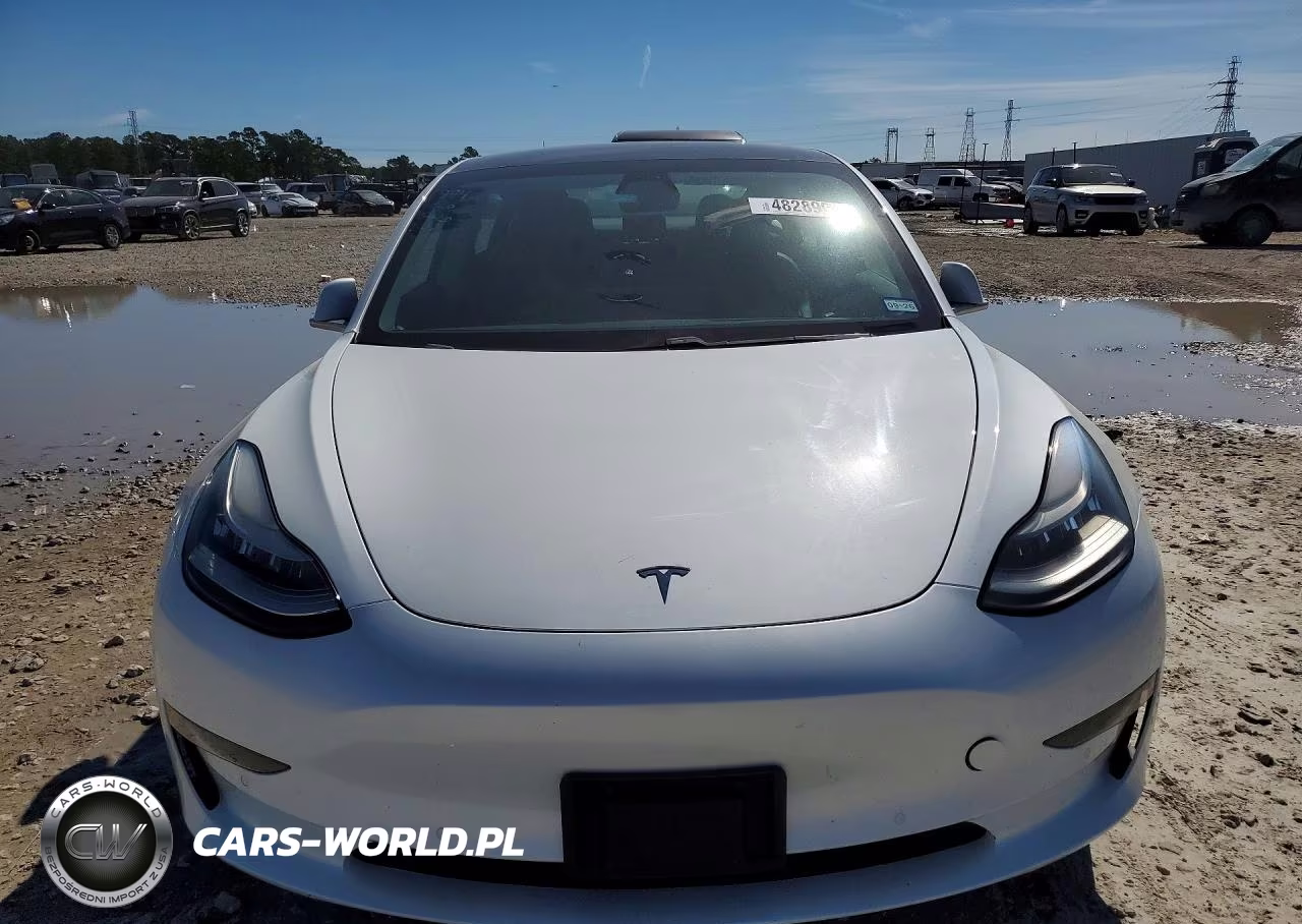 2019 Tesla Model 3 VIN:5YJ3E1EB8KF433231 - 5