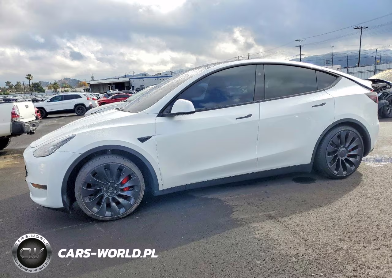 2024 Tesla Model Y