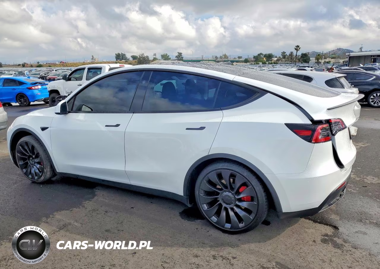 2024 Tesla Model Y VIN:7SAYGDEF3RF056387 - 2