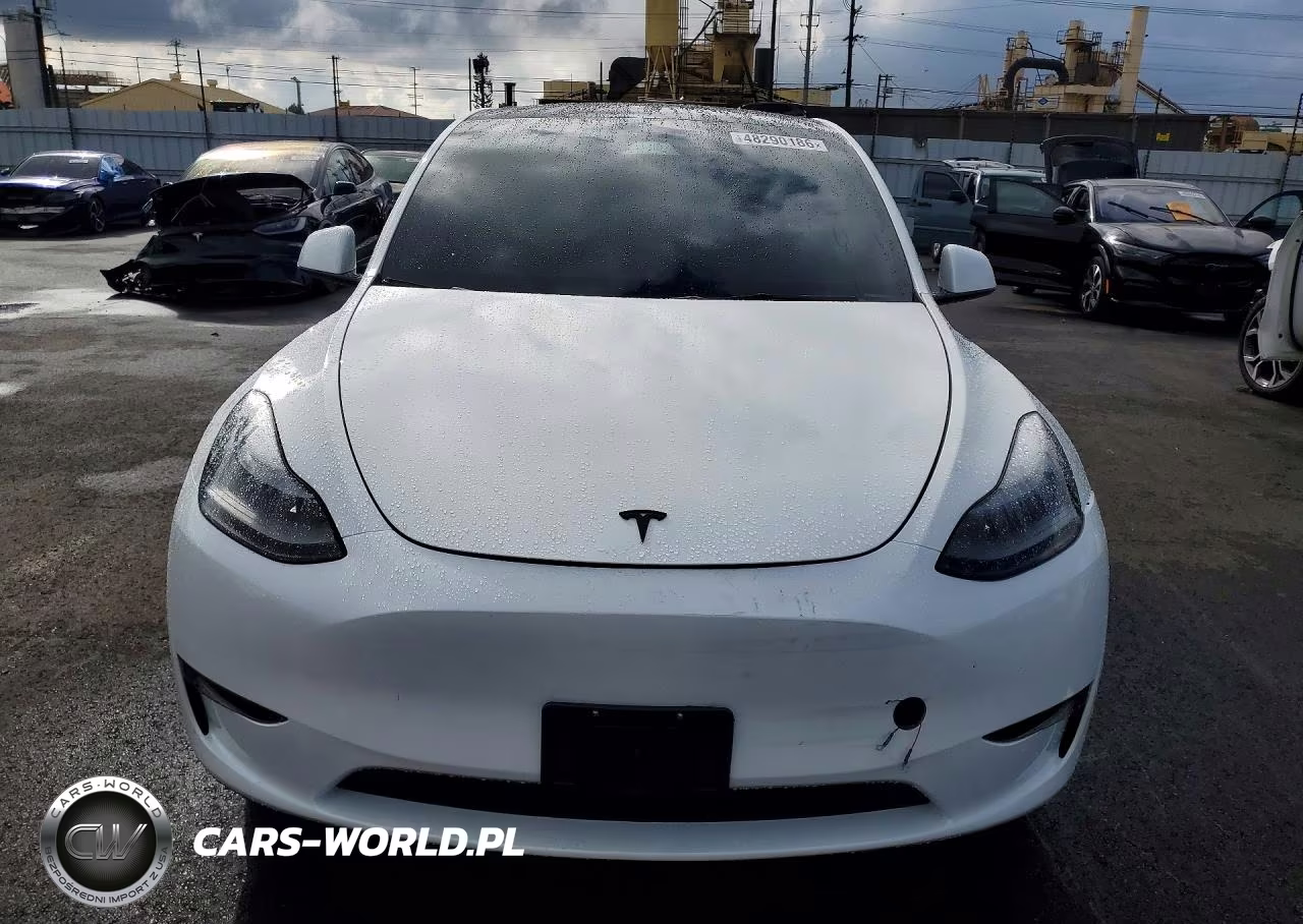 2024 Tesla Model Y VIN:7SAYGDEF3RF056387 - 5