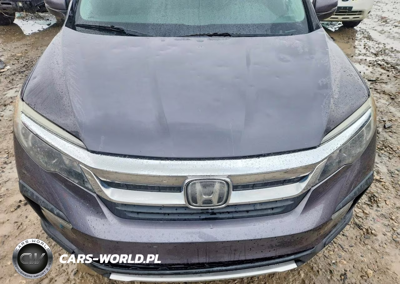 2019 Honda Pilot Exl VIN:5FNYF6H55KB048232 - 11