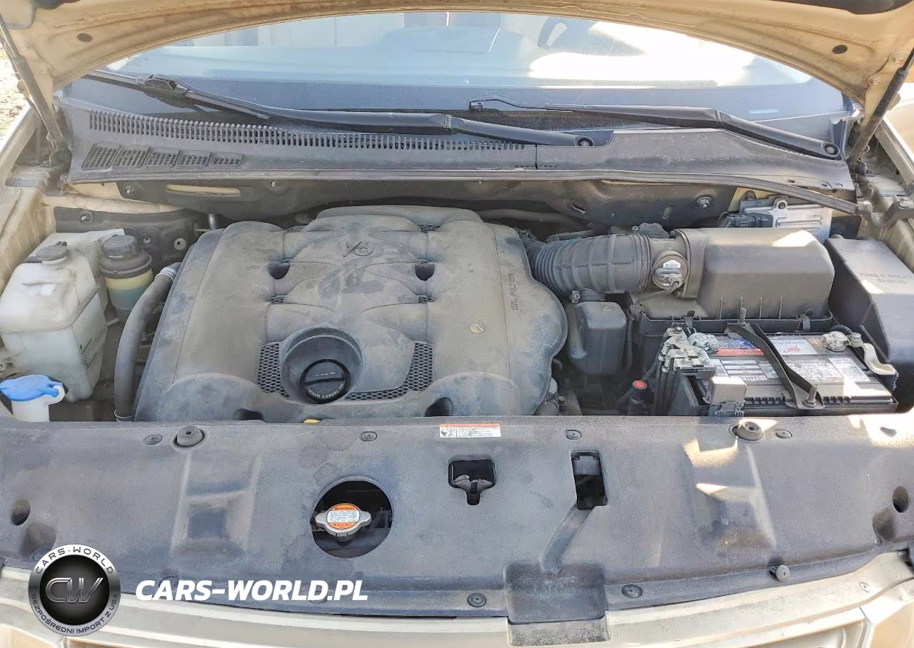 2008 Kia Sedona Base VIN:KNDMB133486254035 - 12