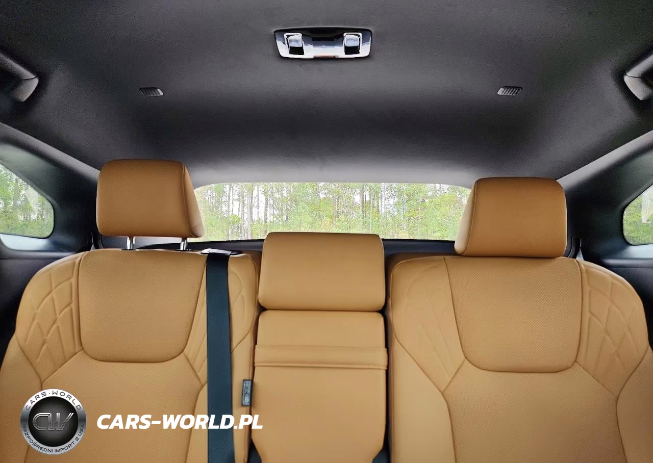2024 LEXUS RX 350 PREMIUM VIN:2T2BAMCA3RC074903 - 10