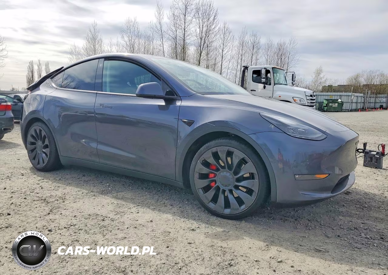 2022 Tesla Model Y VIN:7SAYGDEF4NF559713 - 4