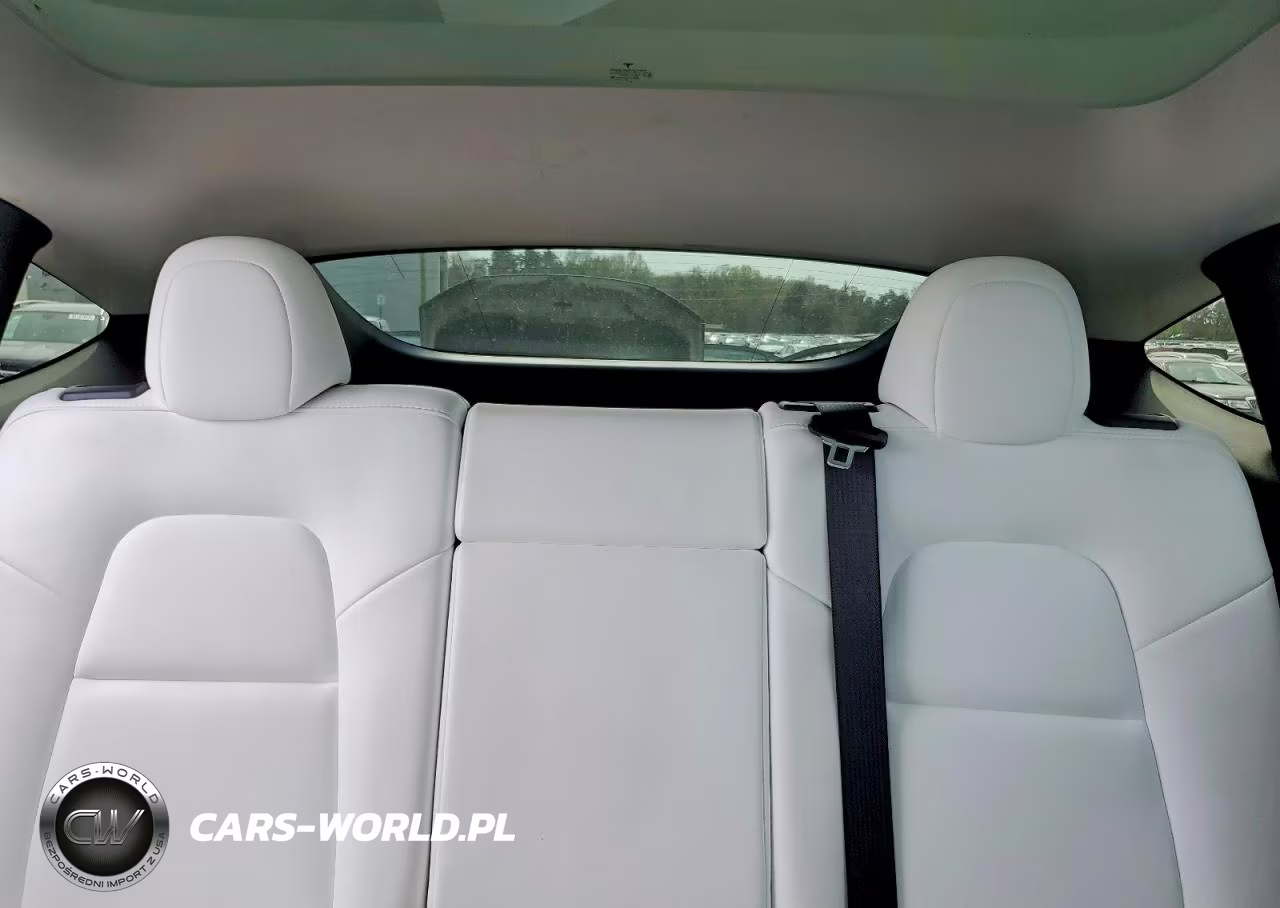2023 Tesla Model Y VIN:7SAYGAEEXPF852086 - 10