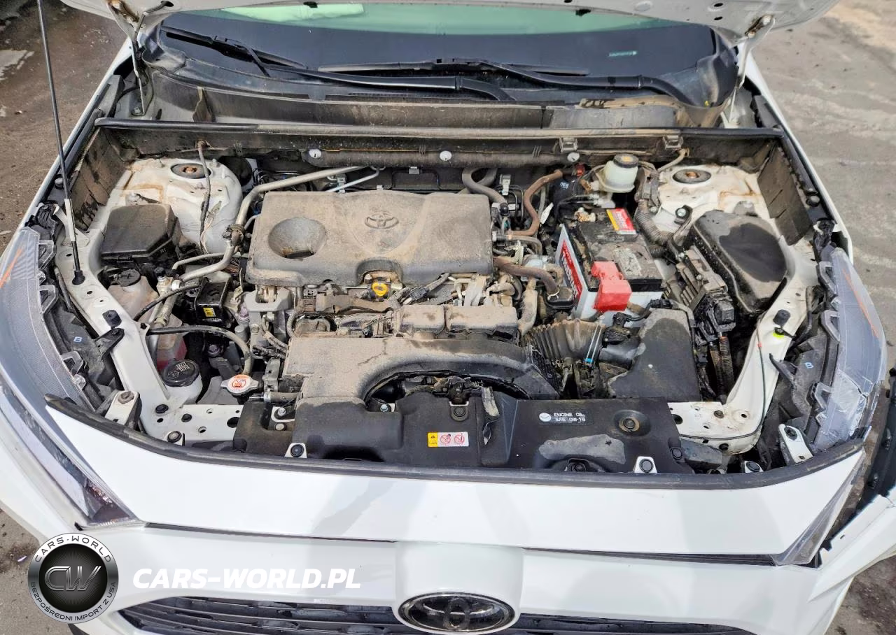 2019 Toyota Rav4 Xle Premium VIN:JTMA1RFV6KD018104 - 12