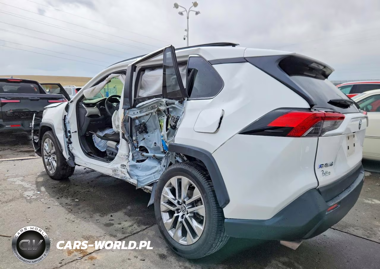 2019 Toyota Rav4 Xle Premium VIN:JTMA1RFV6KD018104 - 2