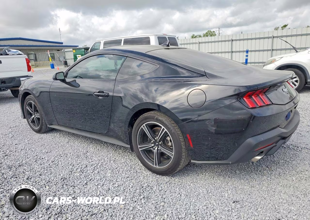 2025 Ford Mustang VIN:1FA6P8THXS5101340 - 2