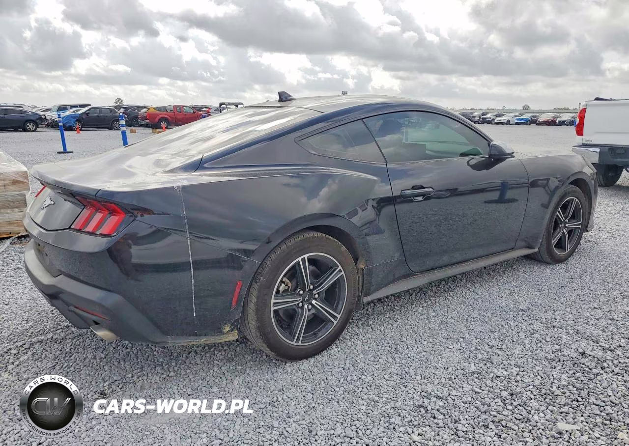 2025 Ford Mustang VIN:1FA6P8THXS5101340 - 3