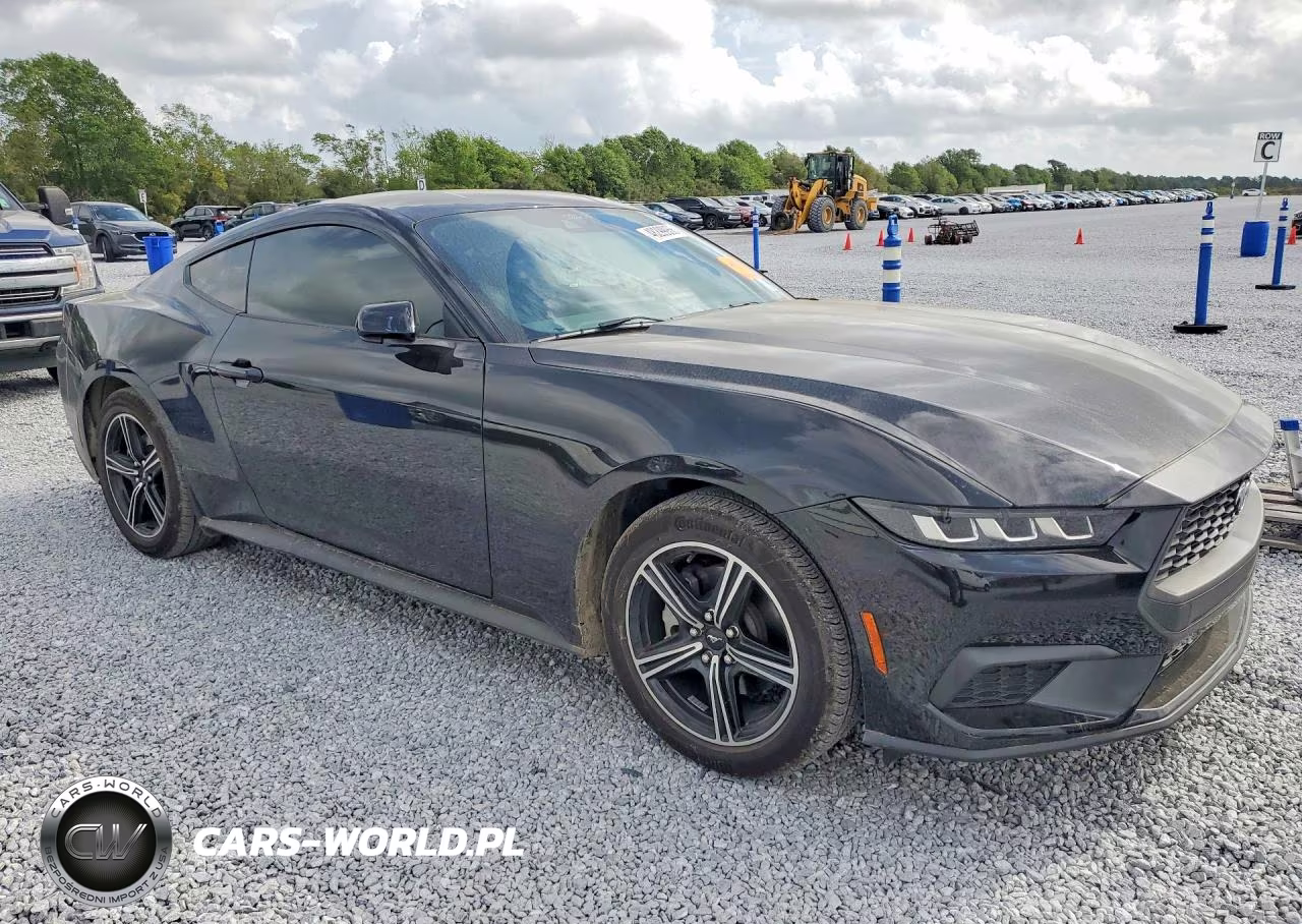 2025 Ford Mustang VIN:1FA6P8THXS5101340 - 4