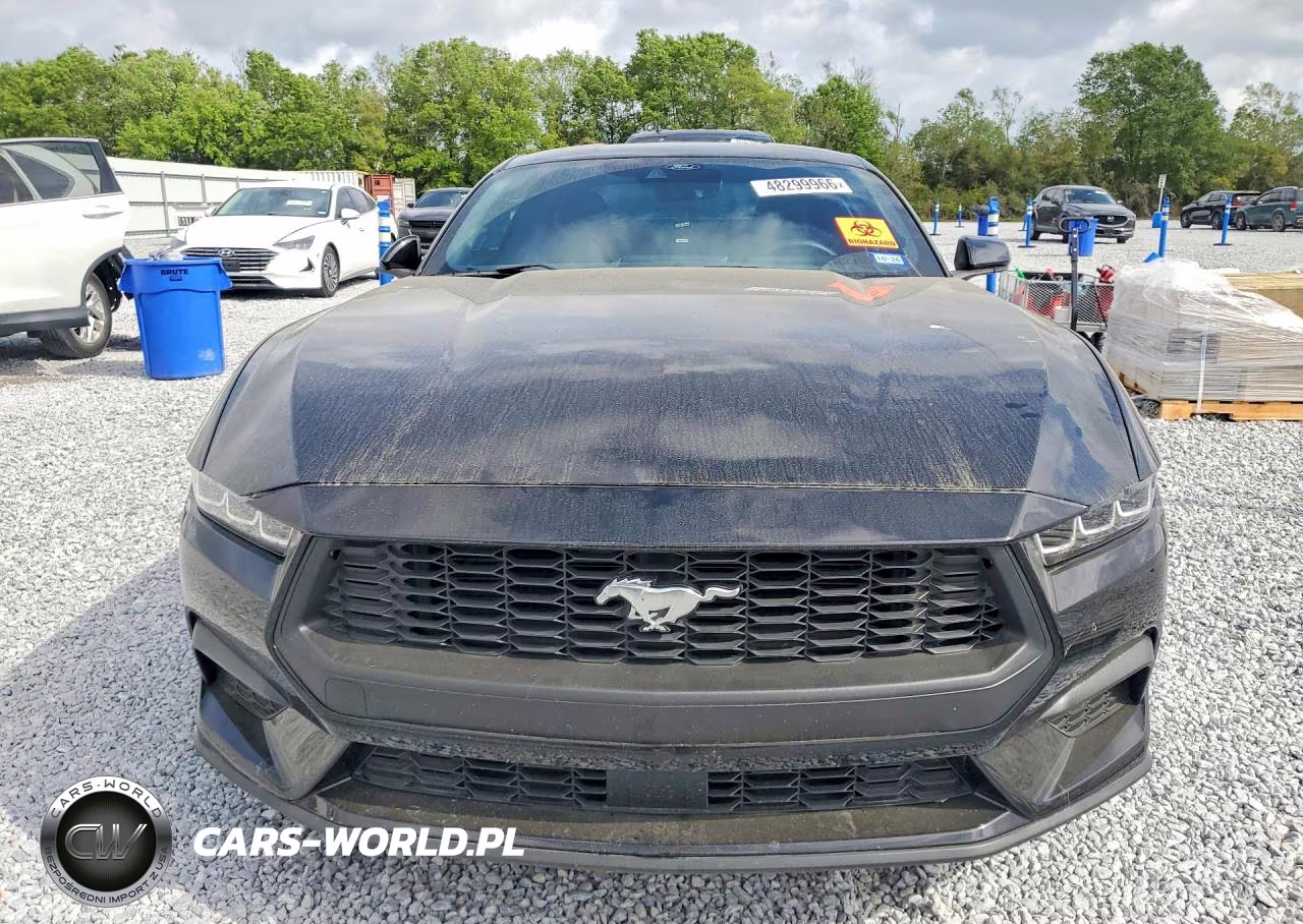 2025 Ford Mustang VIN:1FA6P8THXS5101340 - 5