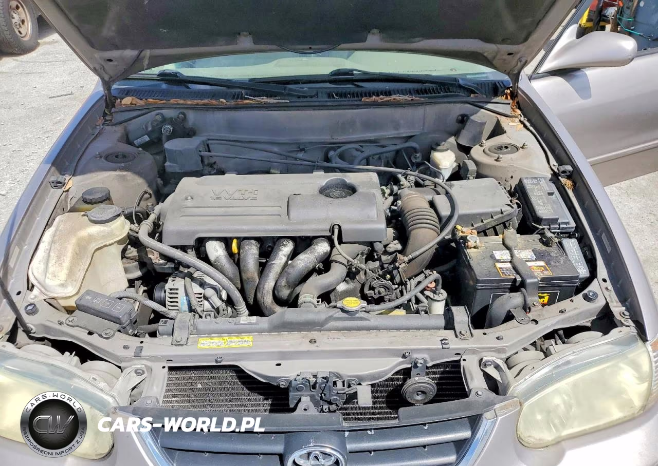 2002 Toyota Corolla Le VIN:1NXBR12E82Z574267 - 11