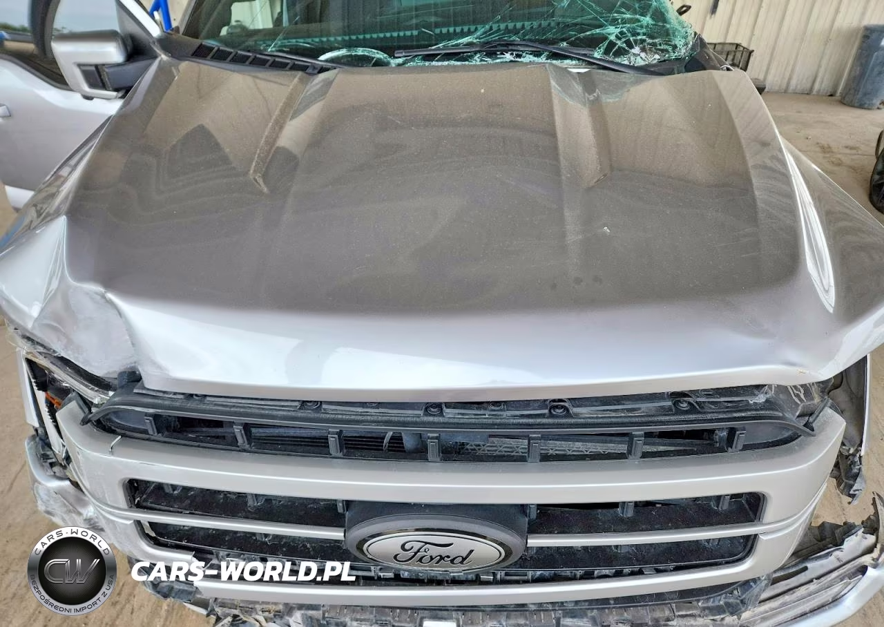 2021 Ford F150 Supercrew VIN:1FTFW1E82MFB51924 - 11