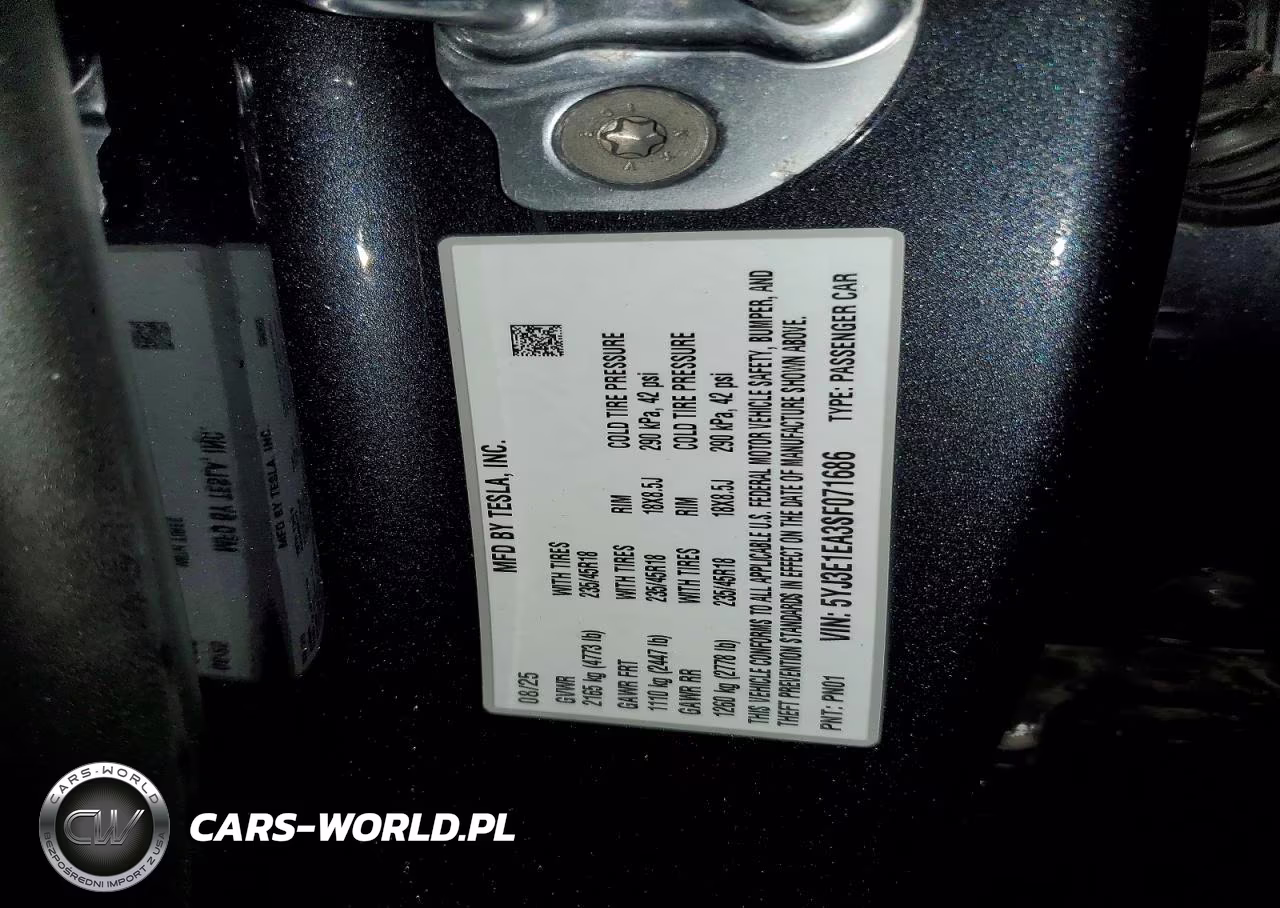 2025 Tesla Model 3 VIN:5YJ3E1EA3SF071686 - 12