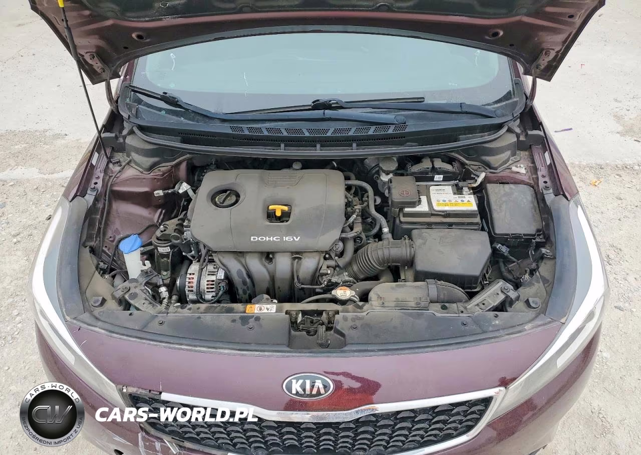 2018 Kia Forte Lx VIN:3KPFK4A79JE269906 - 11
