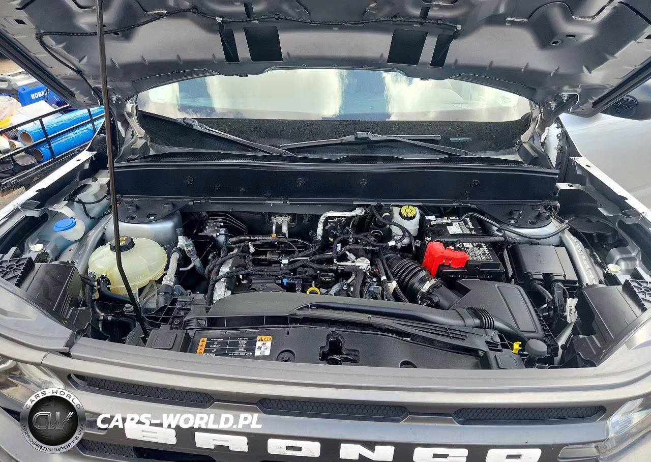 2021 Ford Bronco Sport Big Bend VIN:3FMCR9B69MRA95717 - 11