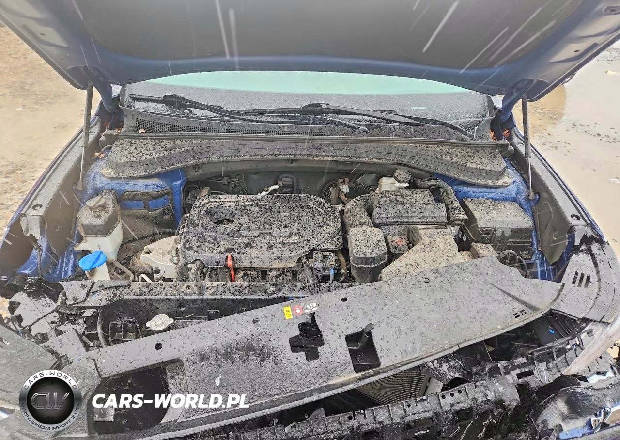 2020 Hyundai Santa Fe Sel VIN:5NMS3CAD1LH205480 - 12