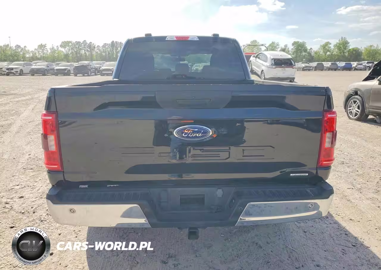 2023 Ford F-150 Xlt VIN:1FTEW1CP4PKD33674 - 6