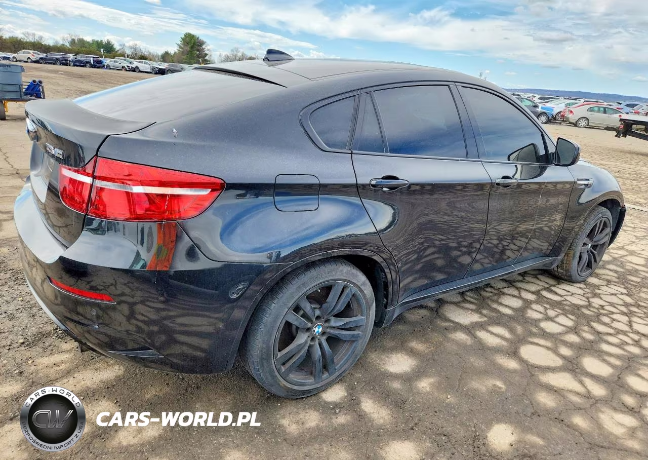 2013 BMW X6 M VIN:5YMGZ0C59DLL30078 - 3