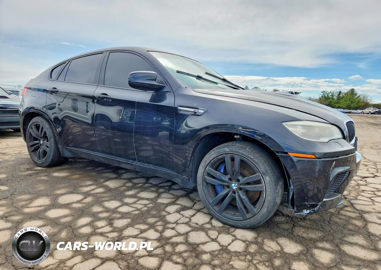 2013 BMW X6 M VIN:5YMGZ0C59DLL30078 - 4