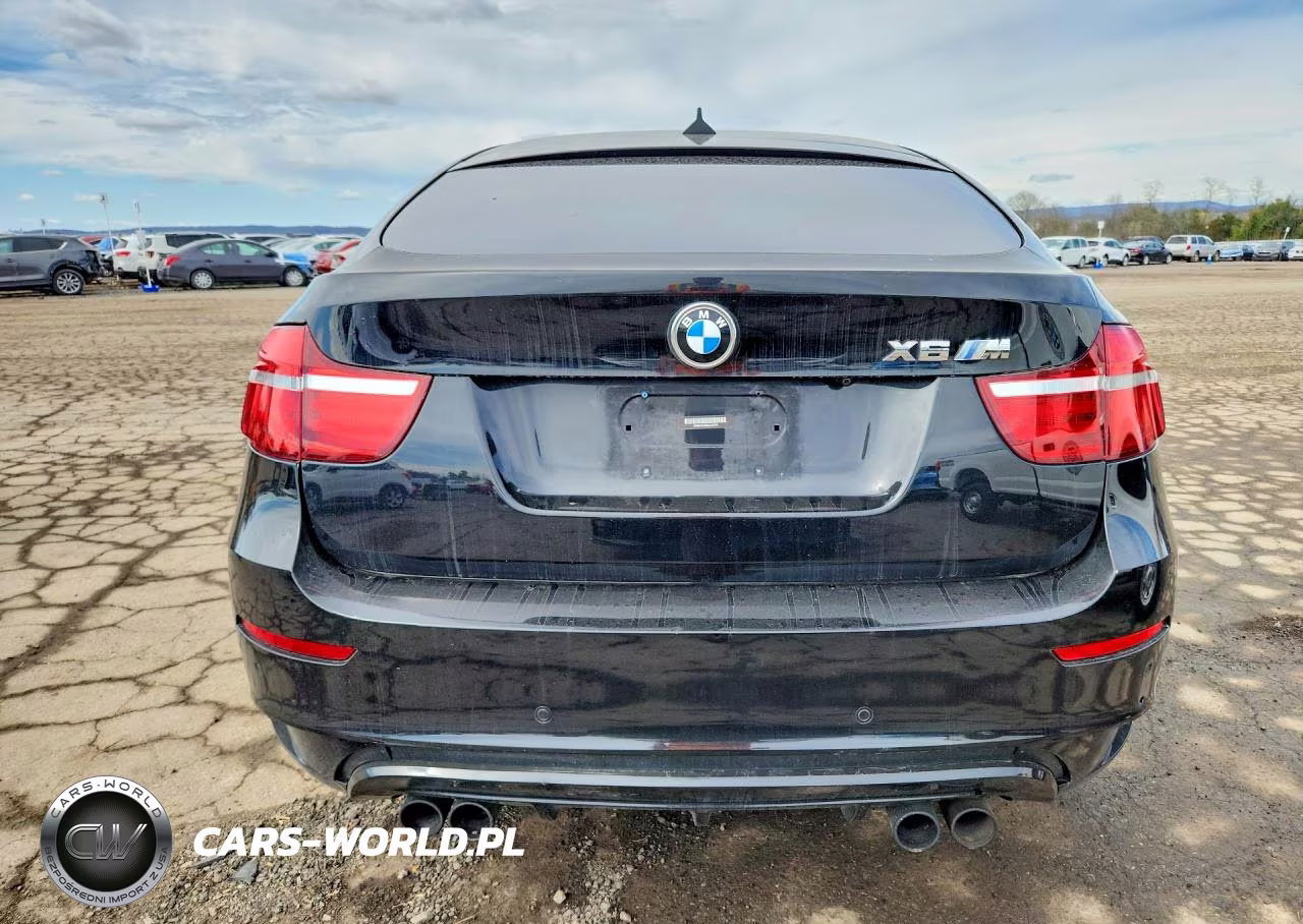 2013 BMW X6 M VIN:5YMGZ0C59DLL30078 - 6