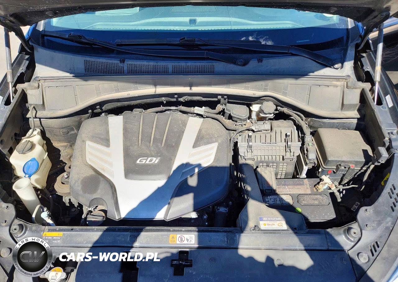 2019 Hyundai Santa Fe Xl Limited Ultimate VIN:KM8SRDHF4KU304924 - 12