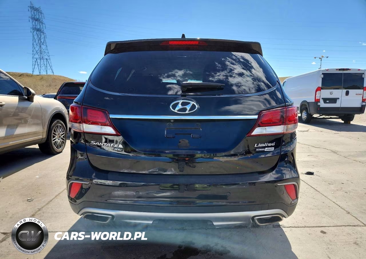2019 Hyundai Santa Fe Xl Limited Ultimate VIN:KM8SRDHF4KU304924 - 6