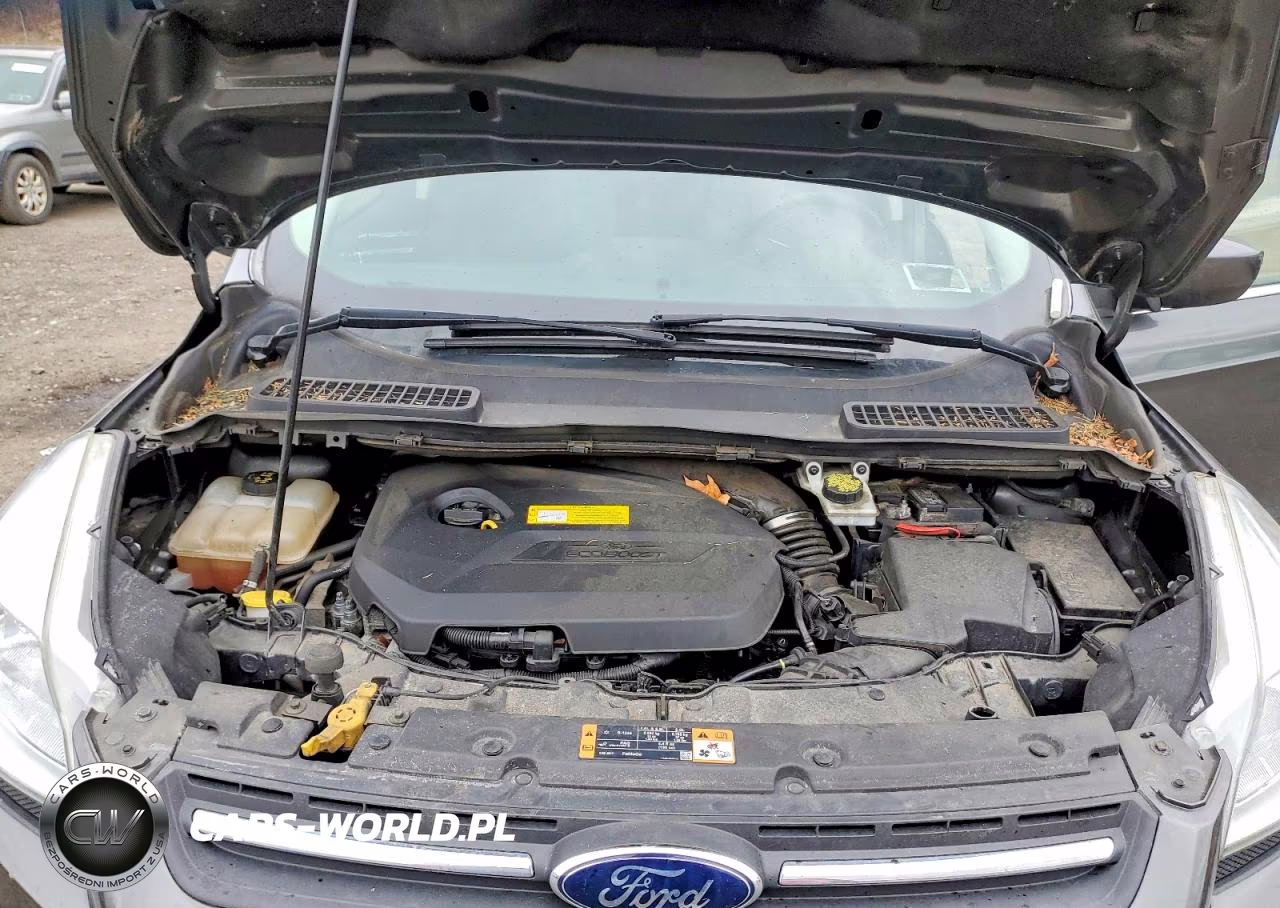 2016 Ford Escape Se VIN:1FMCU9GX1GUB86364 - 12