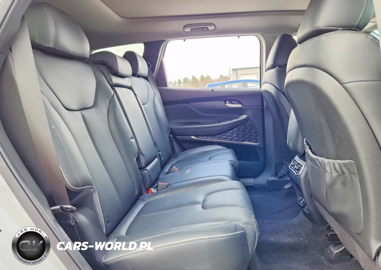 2022 Hyundai Santa Fe Limited VIN:5NMS4DAL5NH422513 - 11