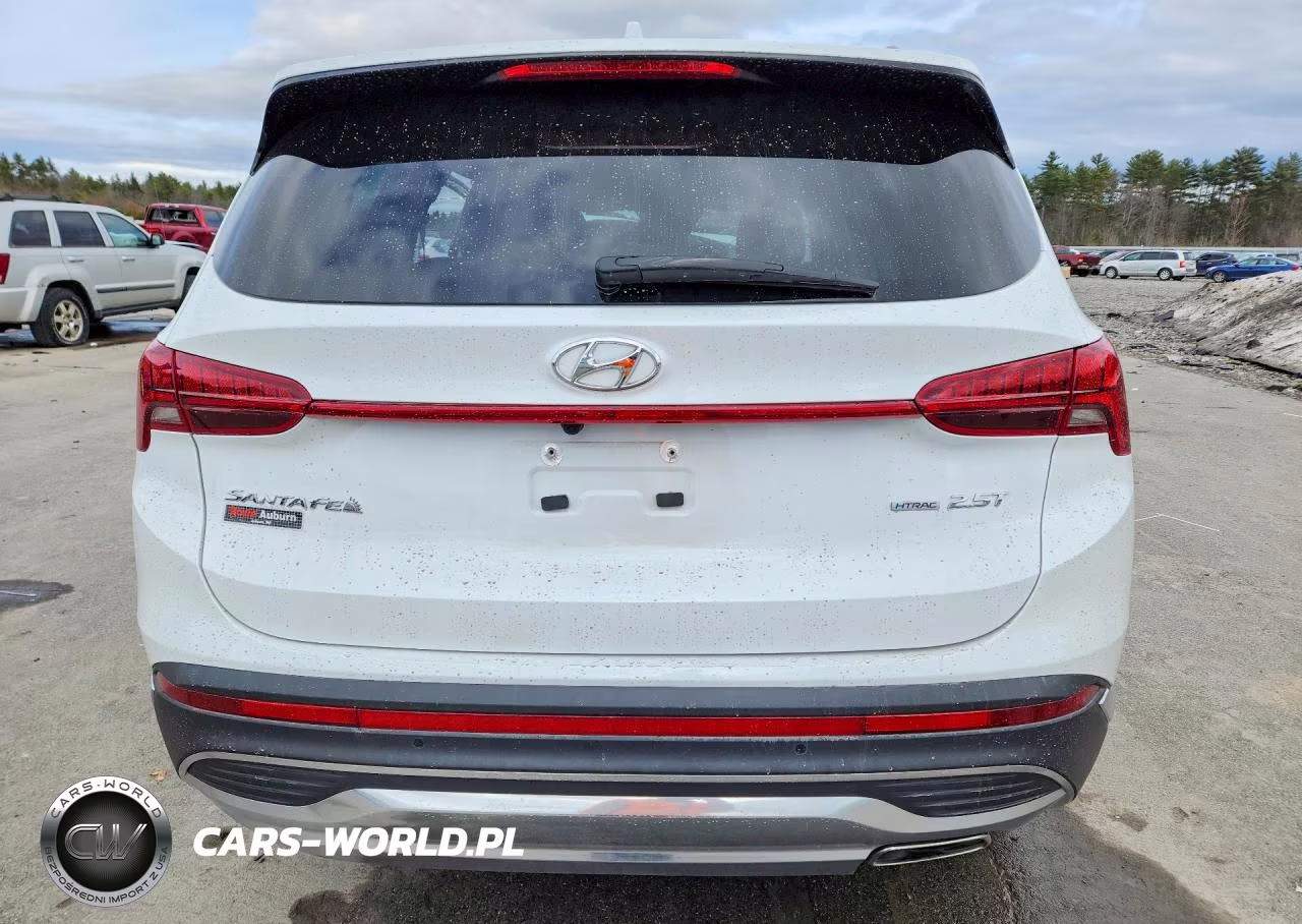 2022 Hyundai Santa Fe Limited VIN:5NMS4DAL5NH422513 - 6