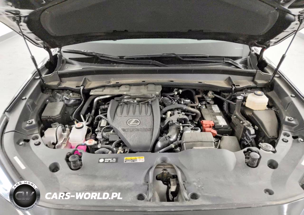 2025 Lexus Tx 350 Premium VIN:5TDAAAB61SS038734 - 12