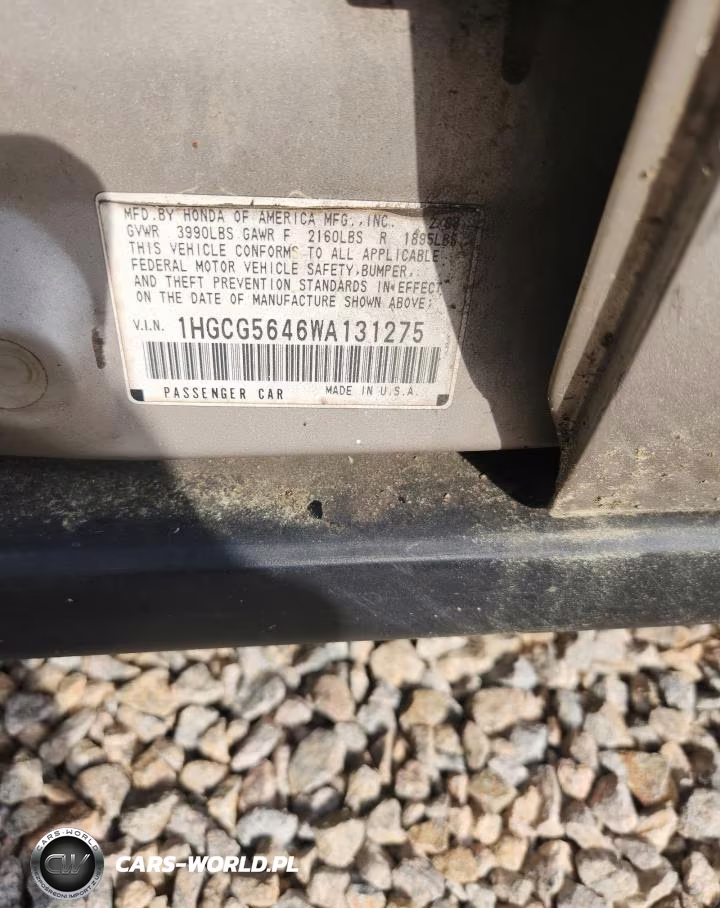 1998 Honda Accord Lx VIN:1HGCG5646WA131275 - 12