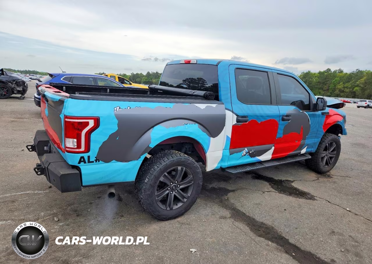 2017 Ford F150 Supercrew VIN:1FTEW1EP1HKD93524 - 3