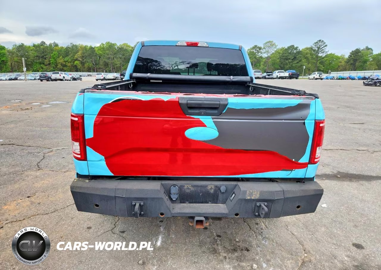 2017 Ford F150 Supercrew VIN:1FTEW1EP1HKD93524 - 6