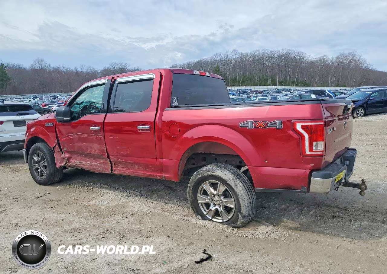 2016 Ford F150 Supercrew VIN:1FTEW1EP2GFD46395 - 2